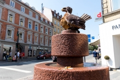 aarhus_MG_0218