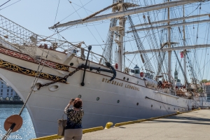 Segelschiff  Statsraad Lehmkuhl