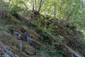 Flam, Spaziergang