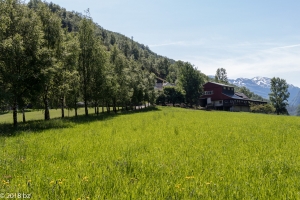 Flam, Spaziergang, Frühlingslandschaft