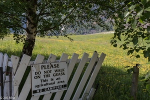 Campen verboten
