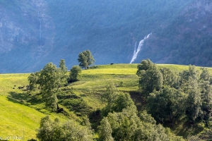Frühlingslandschaft