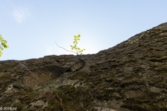 geiranger_MG_0793