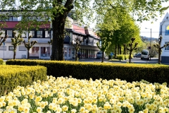 Haugesund_MG_0283