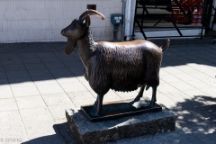 Haugesund_MG_0400