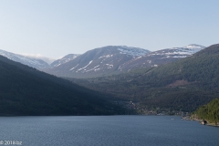 Olden_MG_0543
