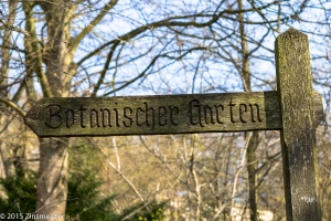 zum botanischen Garten
