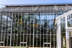 Botanischer Garten