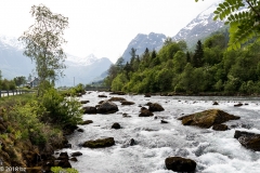 Olden_MG_0428