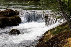 Olden_MG_0437