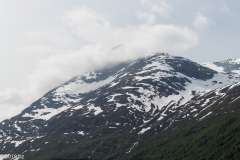 Olden_MG_0450