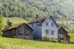Olden_MG_0510