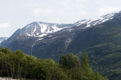 Olden_MG_0465
