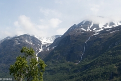 Olden_MG_0485